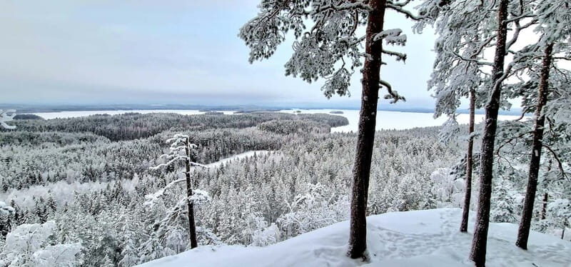 Jyvaskyla: Ice Fishing Experience with a Finnish Guide - An In-Depth Review of the Ice Fishing Experience in Jyvaskyla