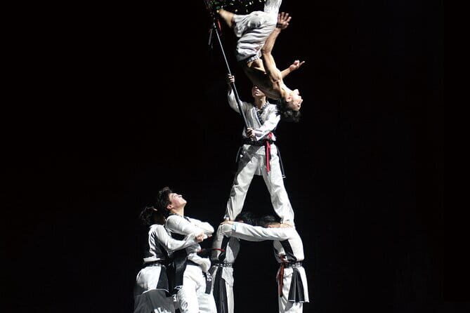 K-Kick Taekwondo Show Ticket at Seoul - Introduction: A Fascinating Glimpse into Korean Culture Through Taekwondo
