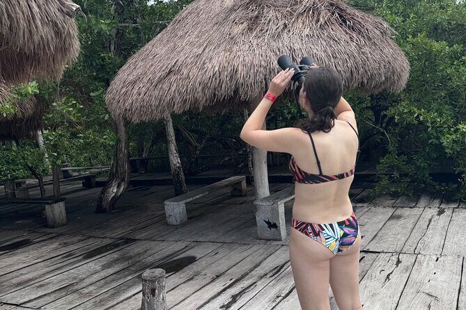 Kaan Luum Lagoon and Cenote Adventure - The Sum Up