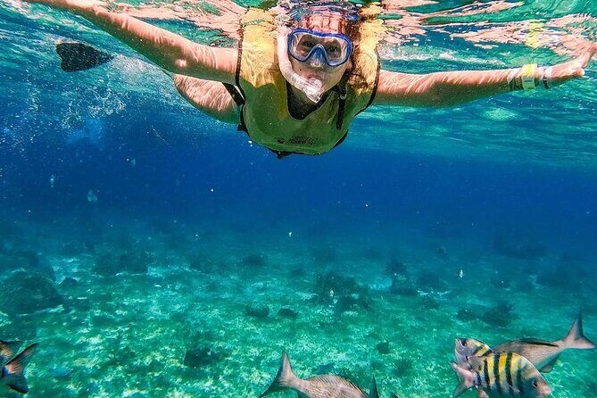 Kaan Luum Lagoon and Cenote Snorkel Tour in Tulum - The Itinerary: What You’ll Experience