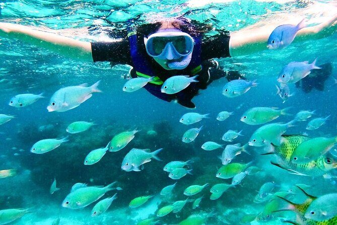 Kaan Luum Lagoon and Cenote Snorkel Tour in Tulum - The Experience: Pros and Cons