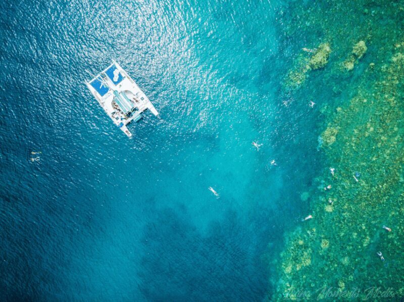 Ka'anapali Beach: Coral Reef Snorkel and Turtle Spotting - The Sum Up