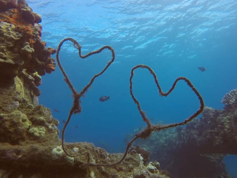 Kaanapali Lahaina: Intro Scuba Dive in Maui Strong Swimmers - Wrapping Up