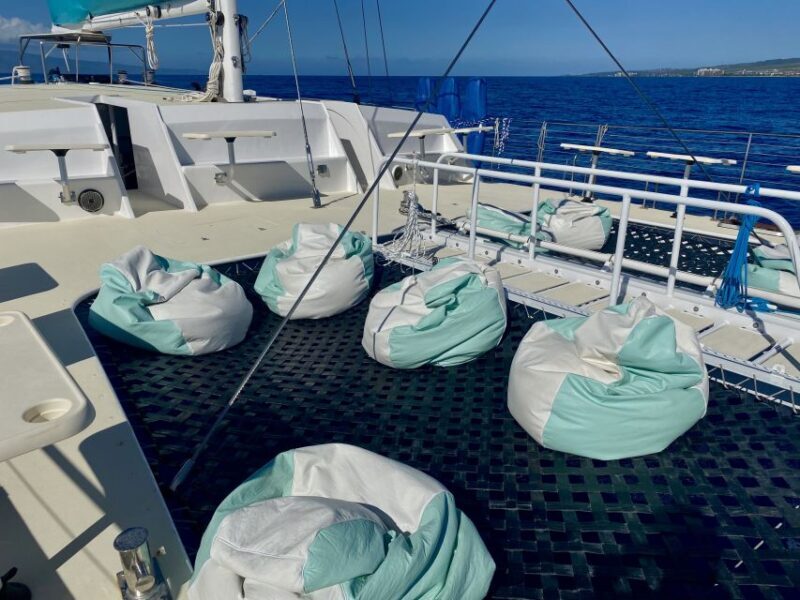 Kaanapali: Sunset Dinner Catamaran Cruise With Drinks - Kaanapali: Sunset Dinner Catamaran Cruise With Drinks — A Detailed Review