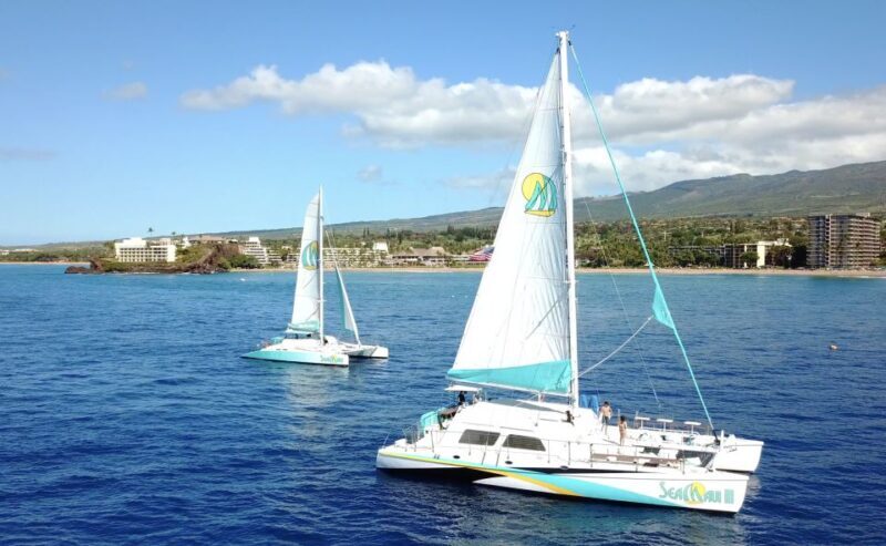 Kaanapali: Sunset Dinner Catamaran Cruise With Drinks - The Experience: What to Expect