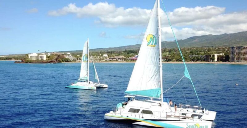 Kaanapali: Sunset Dinner Catamaran Cruise With Drinks - Who Should Consider This Tour?