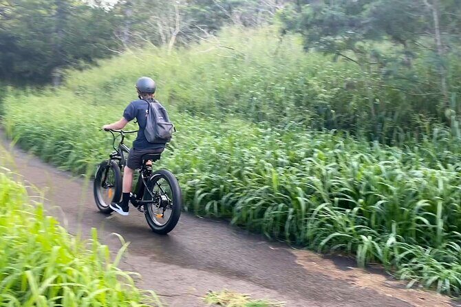 Kaanapali to Kapalua Maui Explorer Electric Bike Rental - The Experience: What You’ll Likely Encounter