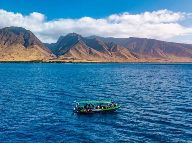 Ka'anapali: Whale Watching Boat Tour - Kaanapali: Whale Watching Boat Tour – A Close Encounter with Giants of the Sea