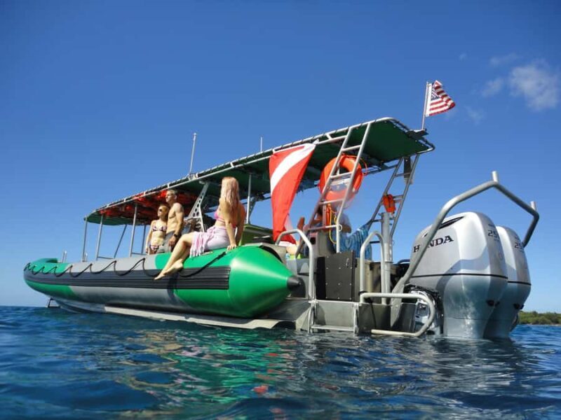Ka'anapali: Whale Watching Boat Tour - Key Points