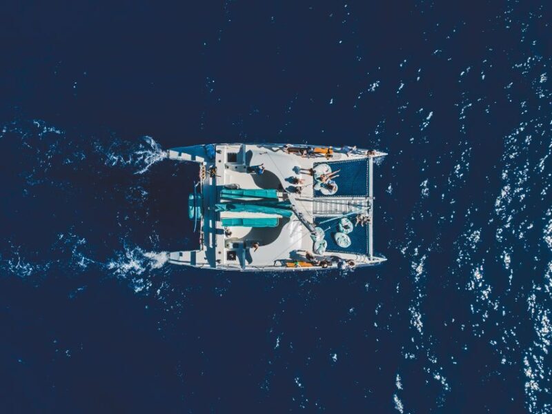Kaanapali: Whale Watching Cruise with Open Bar - The Comfort and Convenience