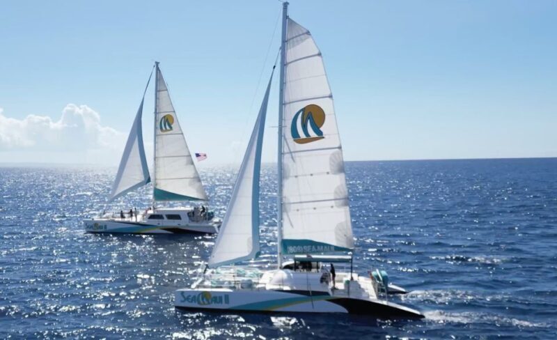 Kaanapali: Whale Watching Cruise with Open Bar - The Reviews Speak for Themselves