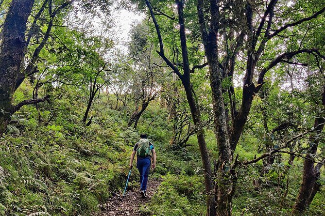 Kaflani Day Hike - Mussoorie - Authentic Experiences & Real Feedback