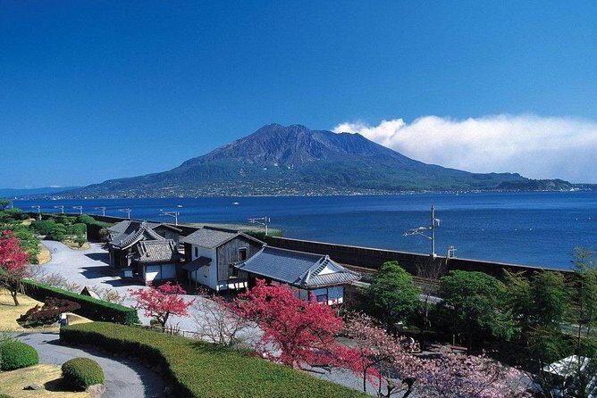 Kagoshima Full-Day Private Tour with Government-Licensed Guide - An Introduction to the Tour