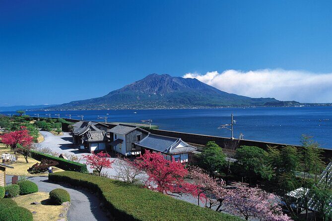 Kagoshima Highlights Private Tour, Sakurajima Volcano and more - Authentic Experiences and Review Insights