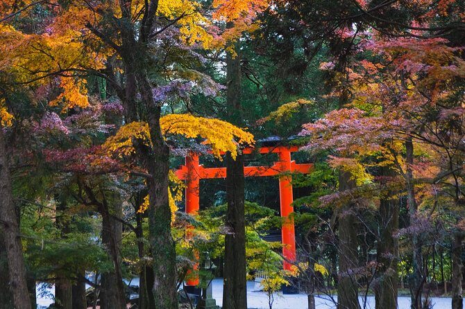 Kagoshima Private Customizable Half Day Tour - FAQ