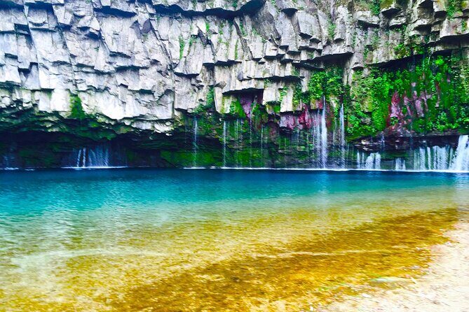 Kagoshima to Miyazaki Custom Tour with private car and driver - Ogawano Taki Falls and Forest Trail