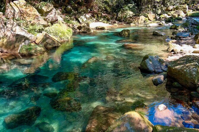 Kagoshima to Miyazaki Custom Tour with private car and driver - Final Stop: Masakari Onsen Park