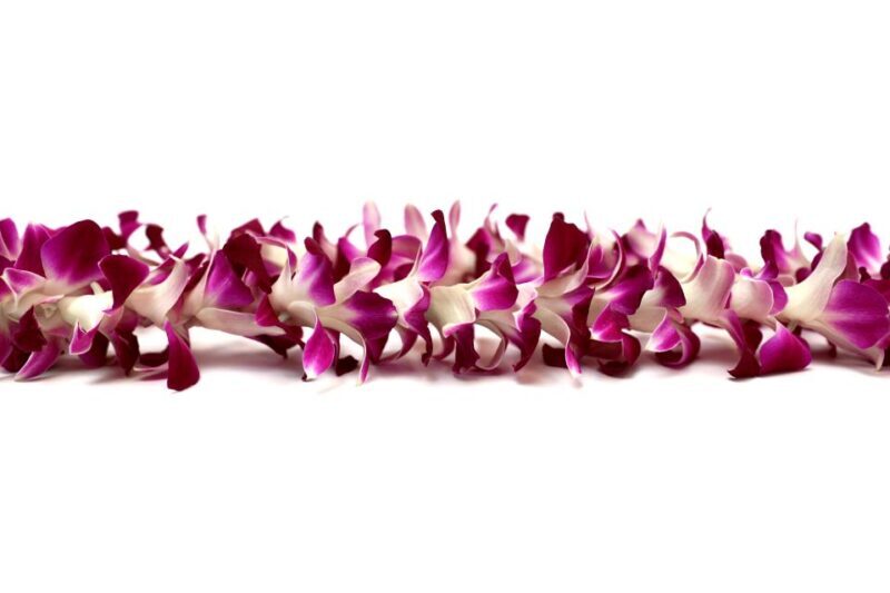 Kahului Airport: Maui Flower Lei Greeting Upon Arrival - Detailed Review of the Maui Flower Lei Greeting Experience