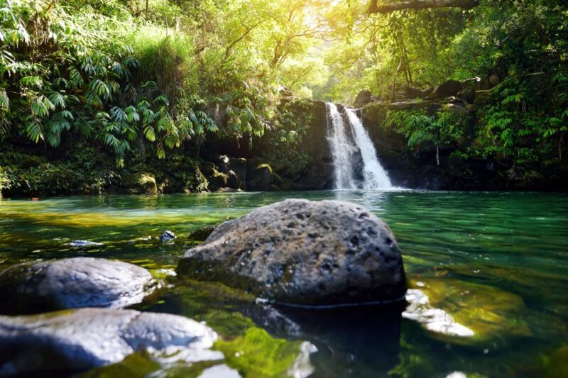 Kahului: Guided Rainforest and Waterfall Walk - Key Points