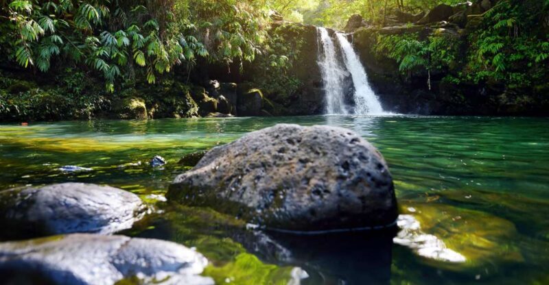 Kahului: Guided Rainforest and Waterfall Walk - A Detailed Look at the Tour Experience