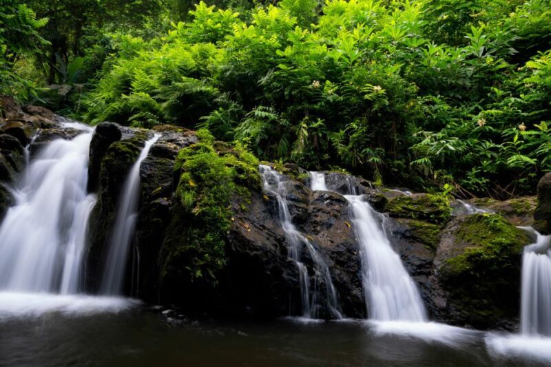 Kahului: Guided Rainforest and Waterfall Walk - FAQs