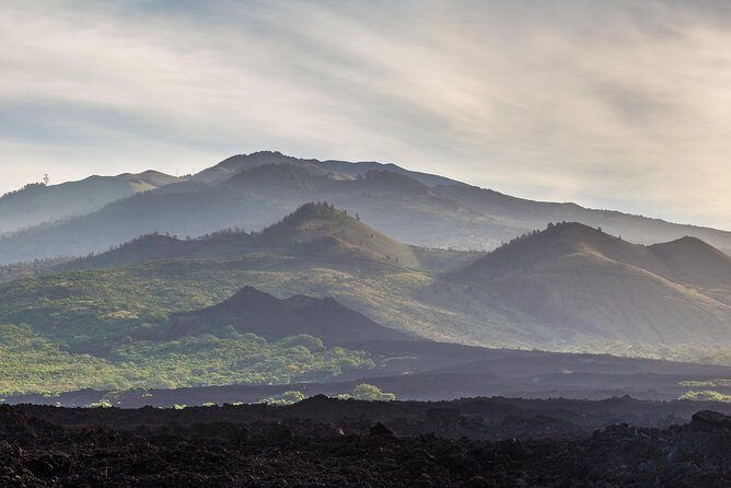Kahului Shore Excursion: Private Tropics of Maui & Rainforest - Exploring the Maui Rainforests and Valleys