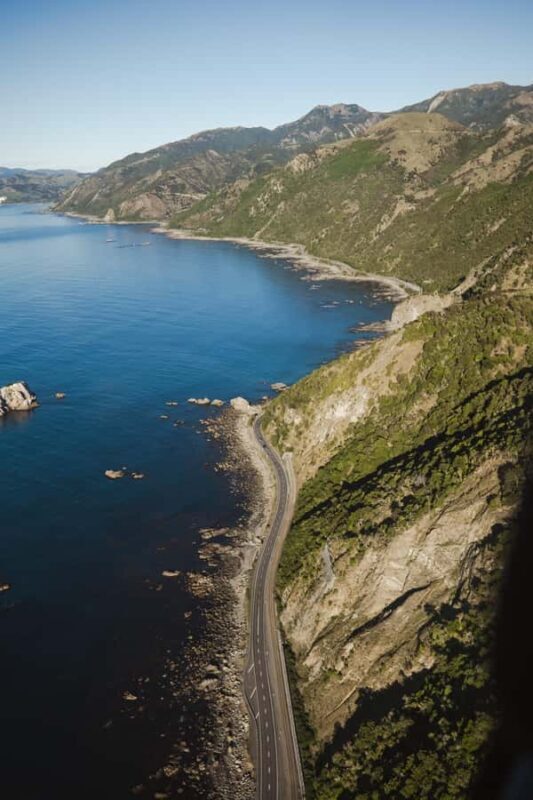 Kaikoura: 1-Hour Whale Watching Helicopter Tour - Key Points