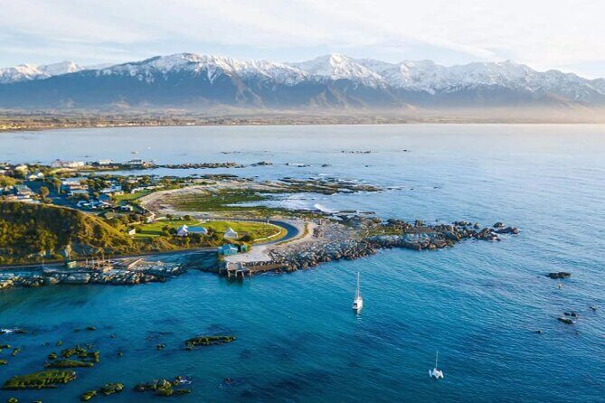 Kaikoura Day Tour From Christchurch - What to Expect from the Kaikoura Day Tour
