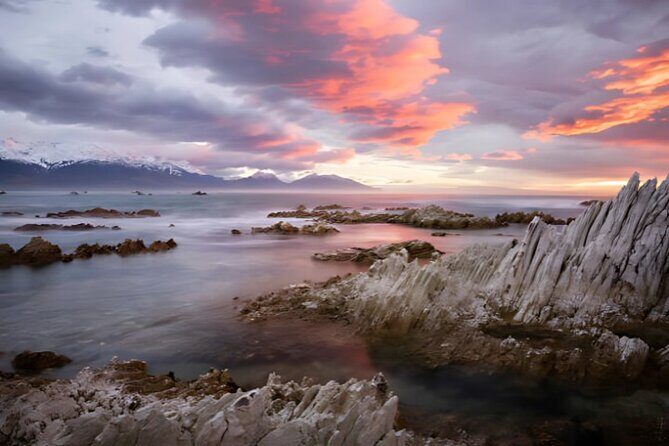 Kaikoura Day Tour From Christchurch - Who Would Love This Tour?