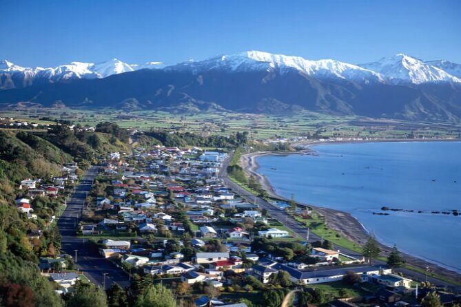 Kaikoura Day Tour From Christchurch - The Sum Up