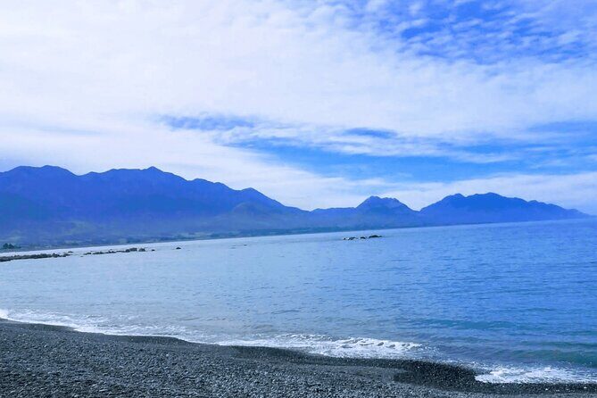 Kaikoura Day Trip including Whale Watch from Christchurch - A Closer Look at the Itinerary