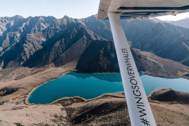 Kaikoura: Extended Flight Whale Watching & Mountain Tour - Key Points