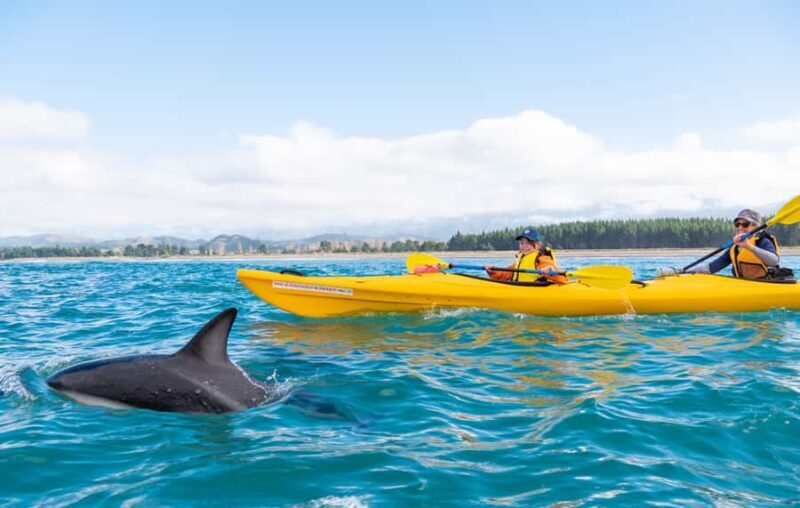 Kaikoura: Guided Family Kayaking Adventure - The Sum Up