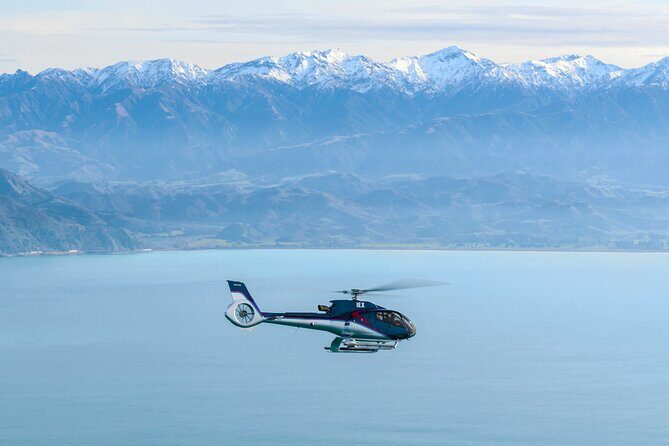 Kaikoura Helicopters Top n Tail Whale Watch flight - Key Points