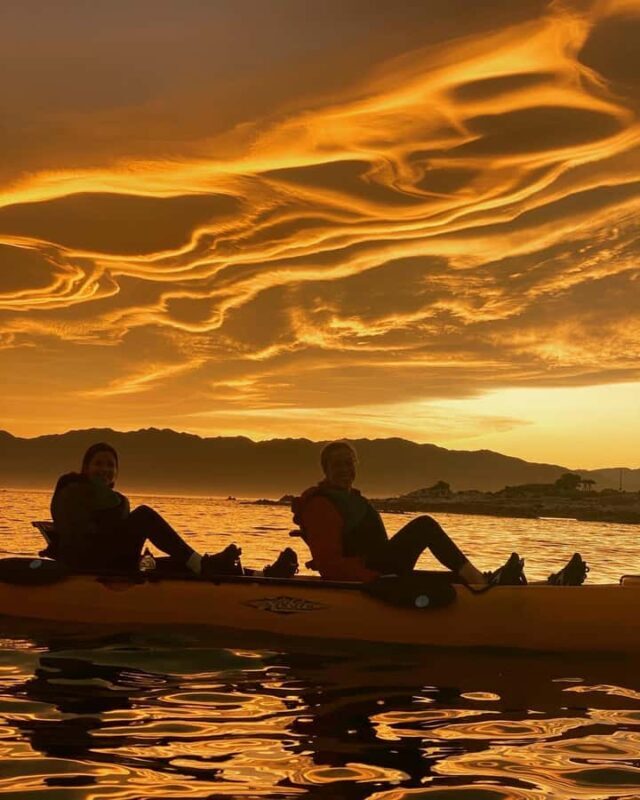 Kaikoura: Private Guided Kayak Tour with Seals - An In-Depth Look at the Kaikoura Kayak Experience