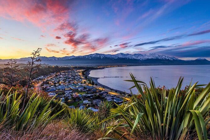 Kaikoura Private Whale Watching Day Trip from Christchurch - Wildlife & Marine Encounters: What’s Truly Special?
