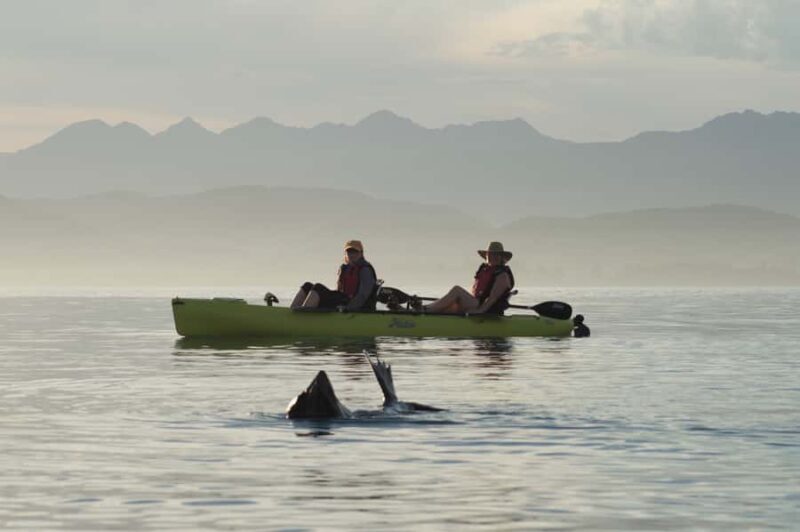 Kaikoura: Seal-Watching Pedal Kayak Tour - Final Thoughts