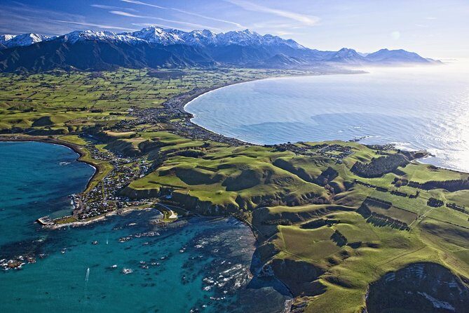 Kaikoura Whale Watch Day Tour from Christchurch - Key Points