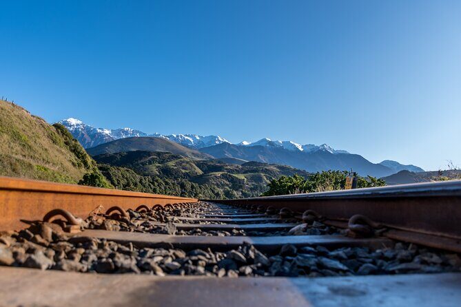 Kaikoura Whale Watch Tour from Christchurch - Small Group - Frequently Asked Questions