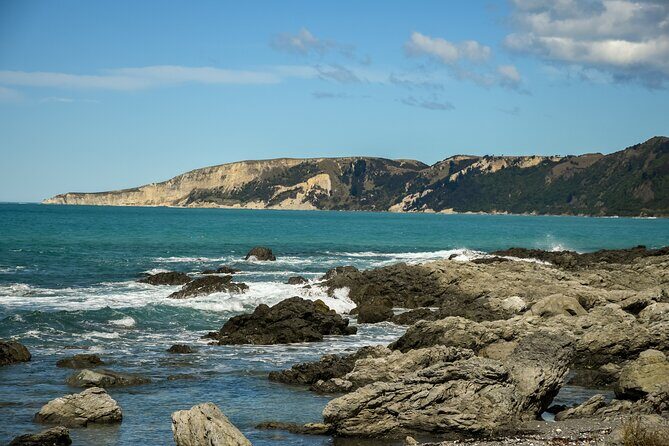 Kaikoura Whale Watch Tour from Christchurch - Small Group - Final Thoughts