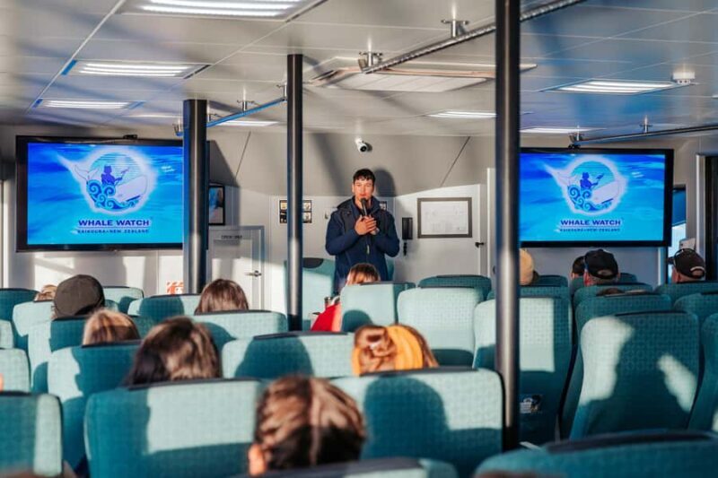 Kaikoura: Whale Watching Cruise - The Itinerary in Detail