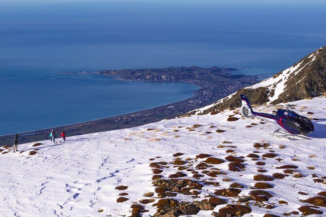 Kaikoura Whales - Who Will Love This Tour?