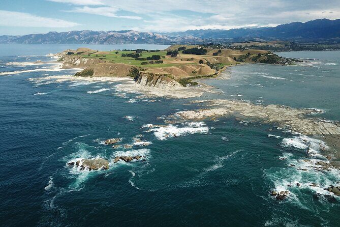Kaikura Day Tour From Christchurch With Dolphin Encounter - Authentic Feedback and Highlights from Travelers