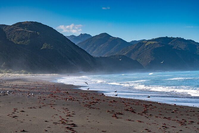 Kaikura Day Tour From Christchurch With Dolphin Encounter - Who Should Consider This Tour?