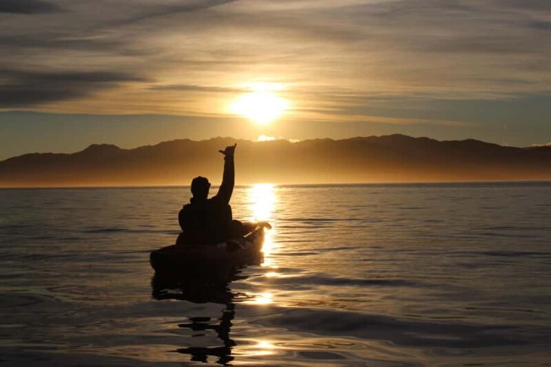 Kaikura: Kayak Sunset Tour with Seal Sightings - FAQ