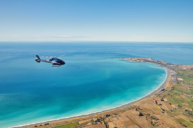 Kaikura Whale Watching - 1hr 20min Ultimate Adventure - Who Will Love This Tour?