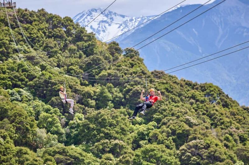 Kaikura: Zipline and Native Forest Adventure Trip - Transportation and Logistics