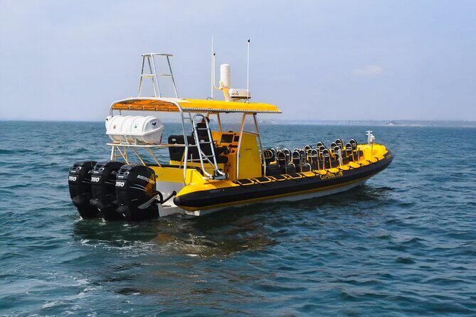 Kailua-Kona Adventure Whale Watch - FAQs