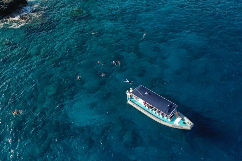 Kailua-Kona: Big Island Morning Snorkeling Tour with Lunch - The Experience: What Makes It Special