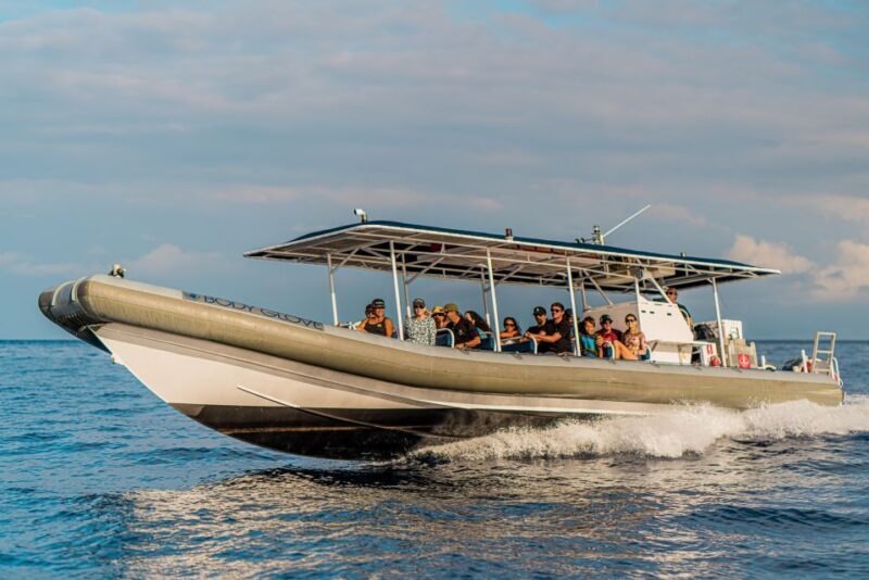 Kailua-Kona: Big Island Morning Snorkeling Tour with Lunch - FAQ